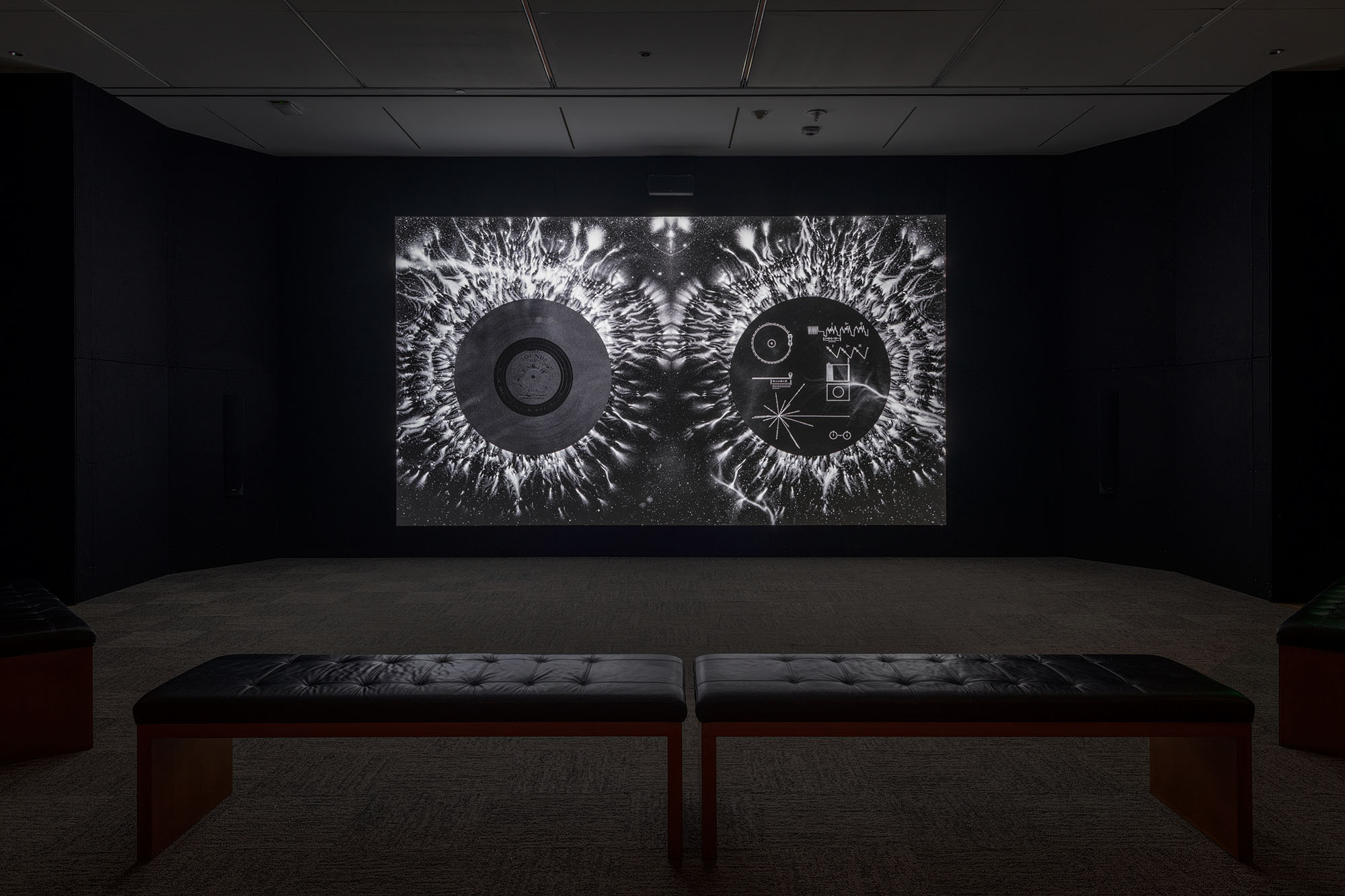 Dario Robleto: The Signal, May 12–October 27, 2024, Amon Carter Museum of American Art, Fort Worth.