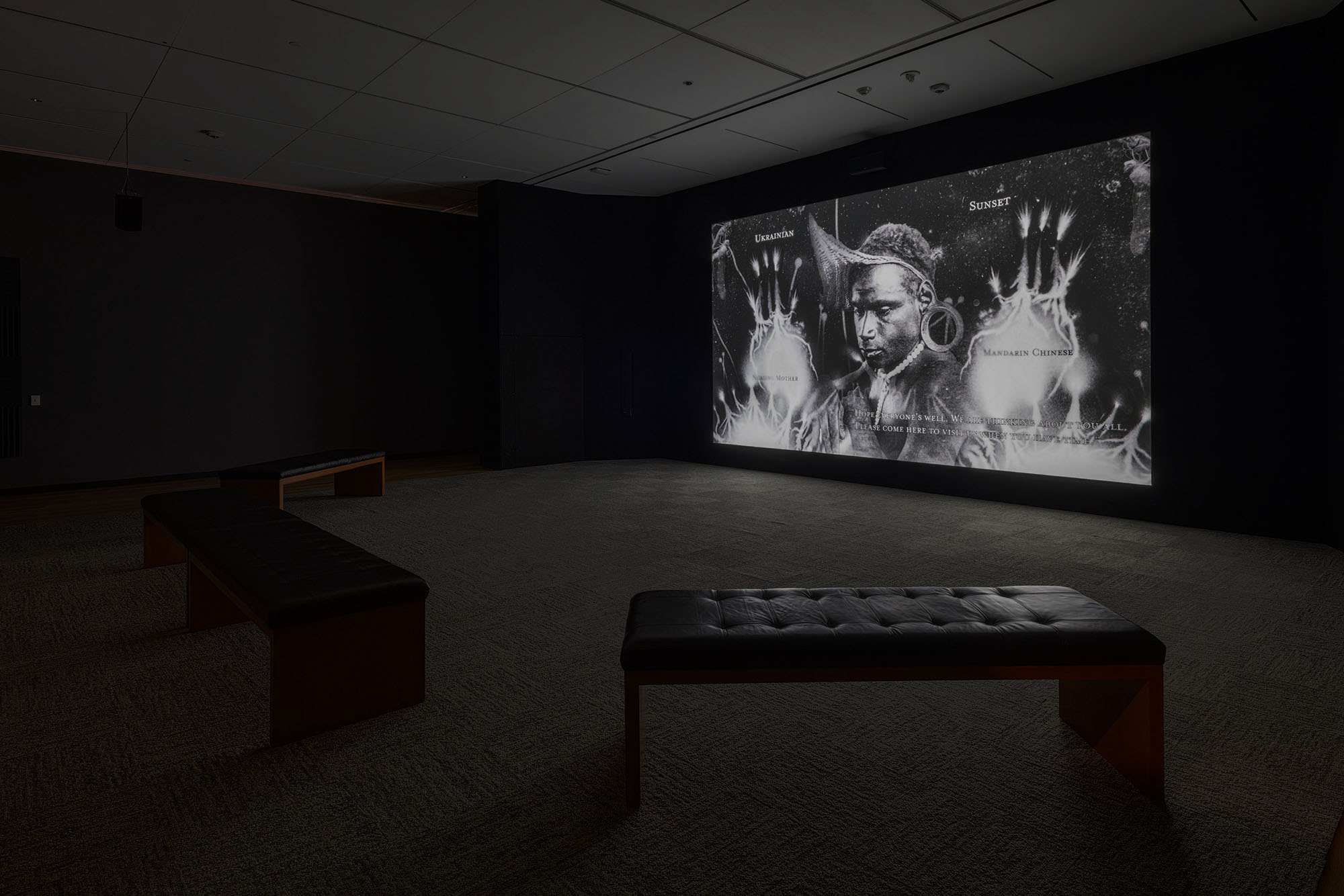 Dario Robleto: The Signal, May 12–October 27, 2024, Amon Carter Museum of American Art, Fort Worth.
