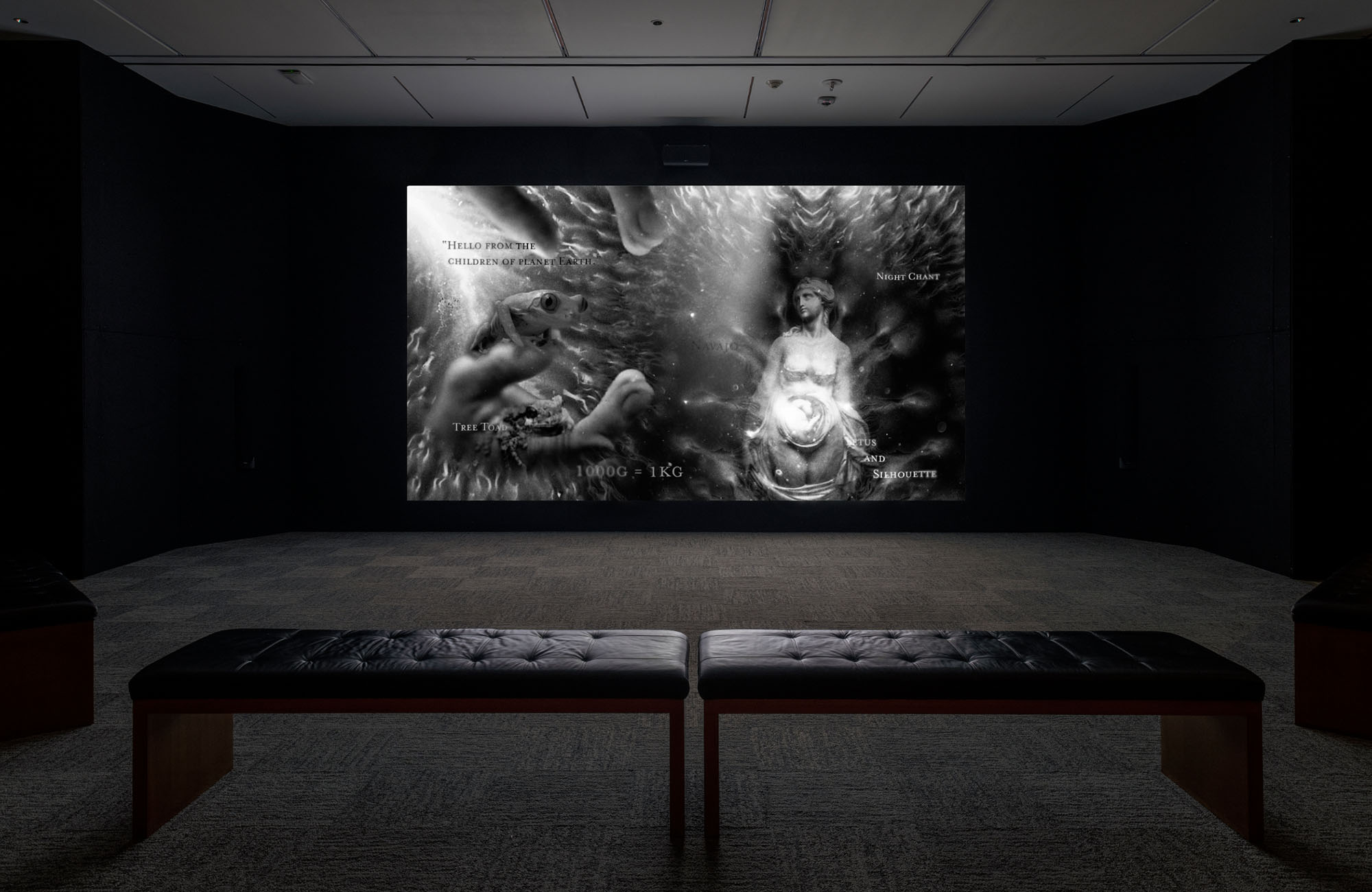 Dario Robleto: The Signal, May 12–October 27, 2024, Amon Carter Museum of American Art, Fort Worth.