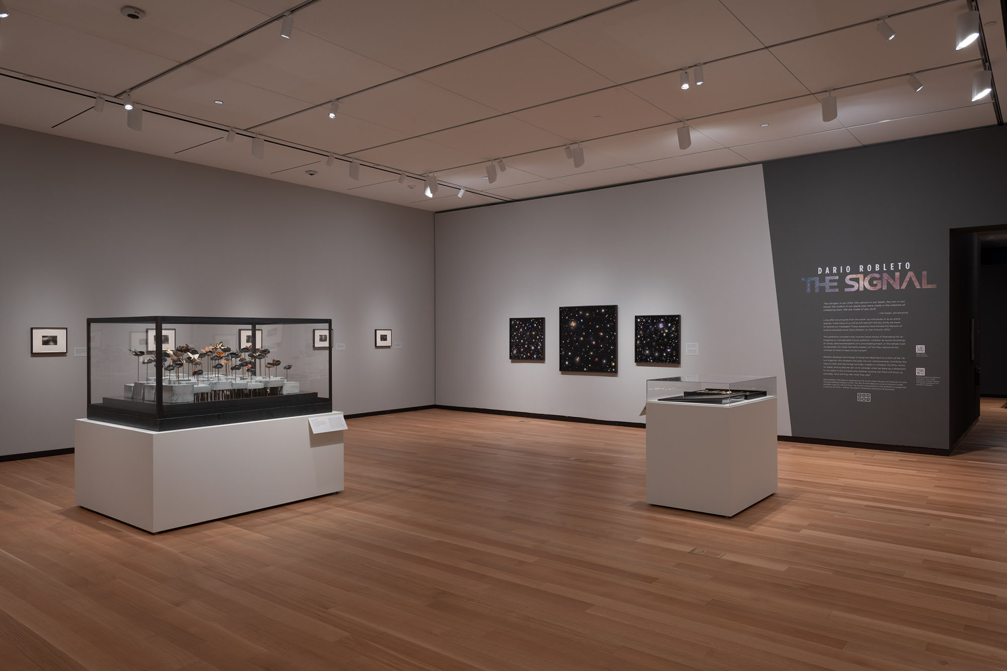 Dario Robleto: The Signal, May 12–October 27, 2024, Amon Carter Museum of American Art, Fort Worth.
