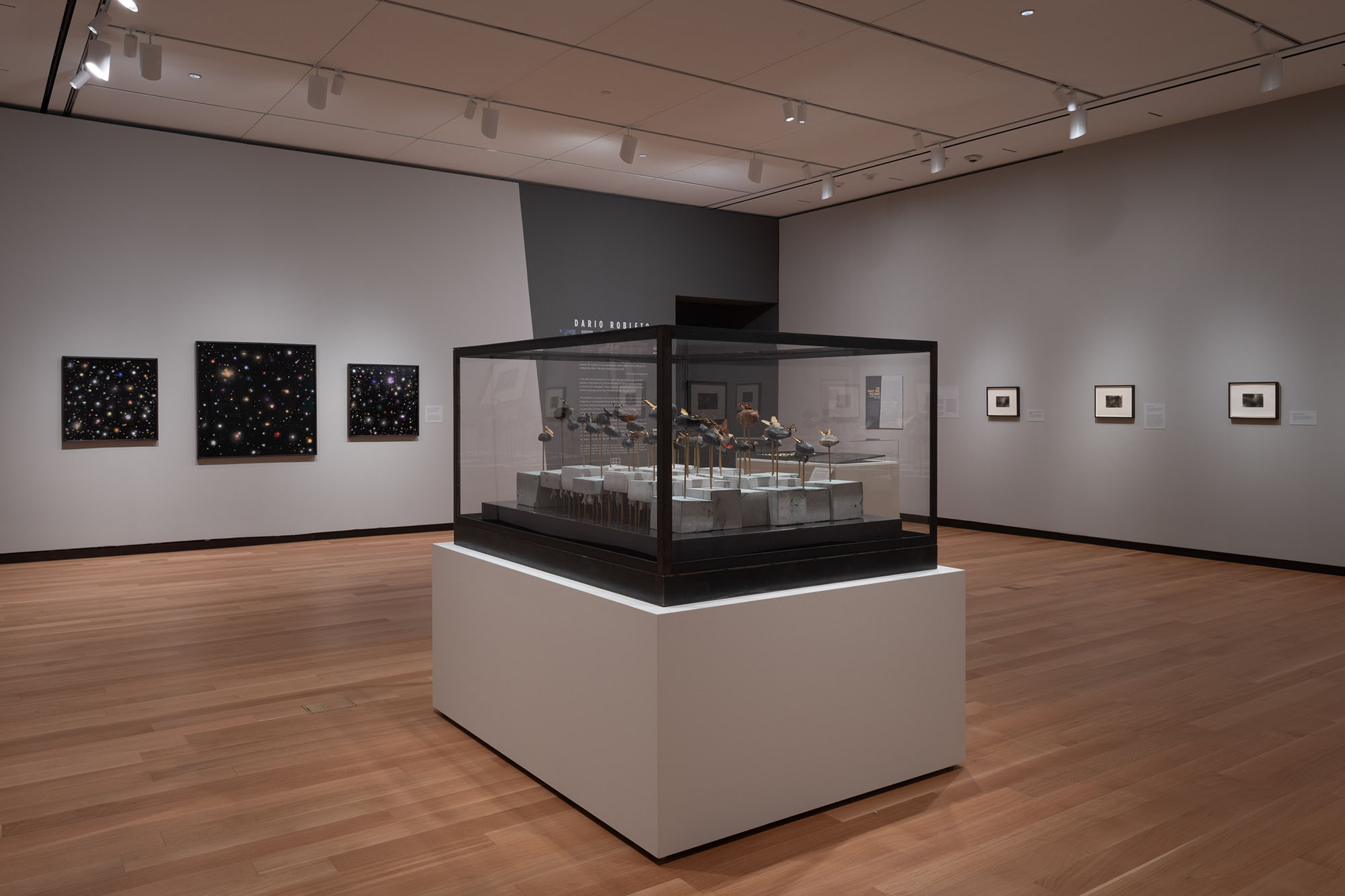 Dario Robleto: The Signal, May 12–October 27, 2024, Amon Carter Museum of American Art, Fort Worth.