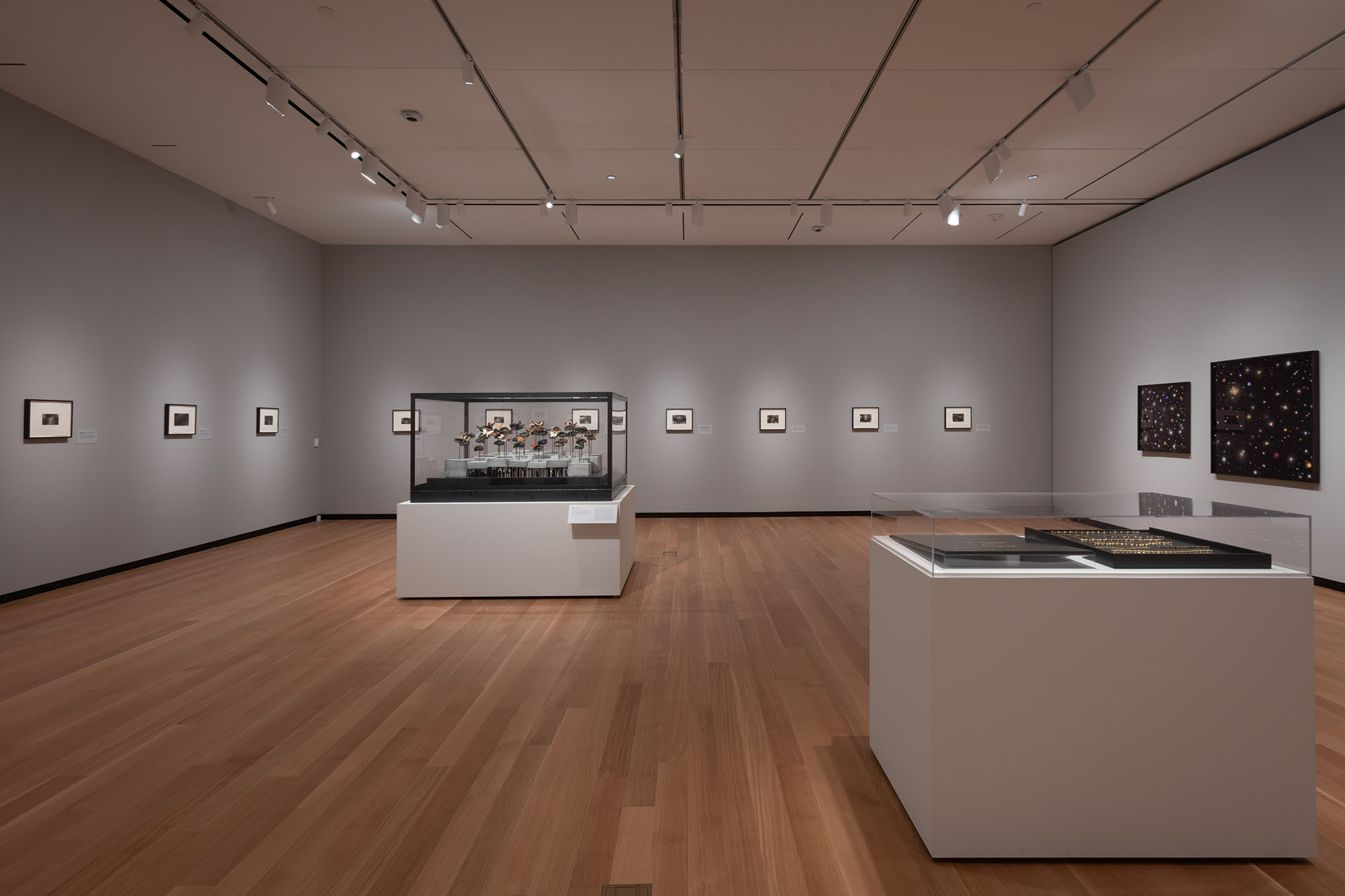 Dario Robleto: The Signal, May 12–October 27, 2024, Amon Carter Museum of American Art, Fort Worth.