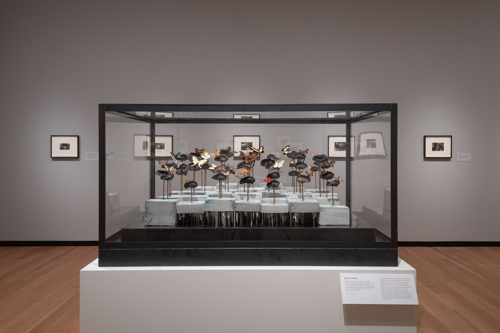 Dario Robleto: The Signal, May 12–October 27, 2024, Amon Carter Museum of American Art, Fort Worth.