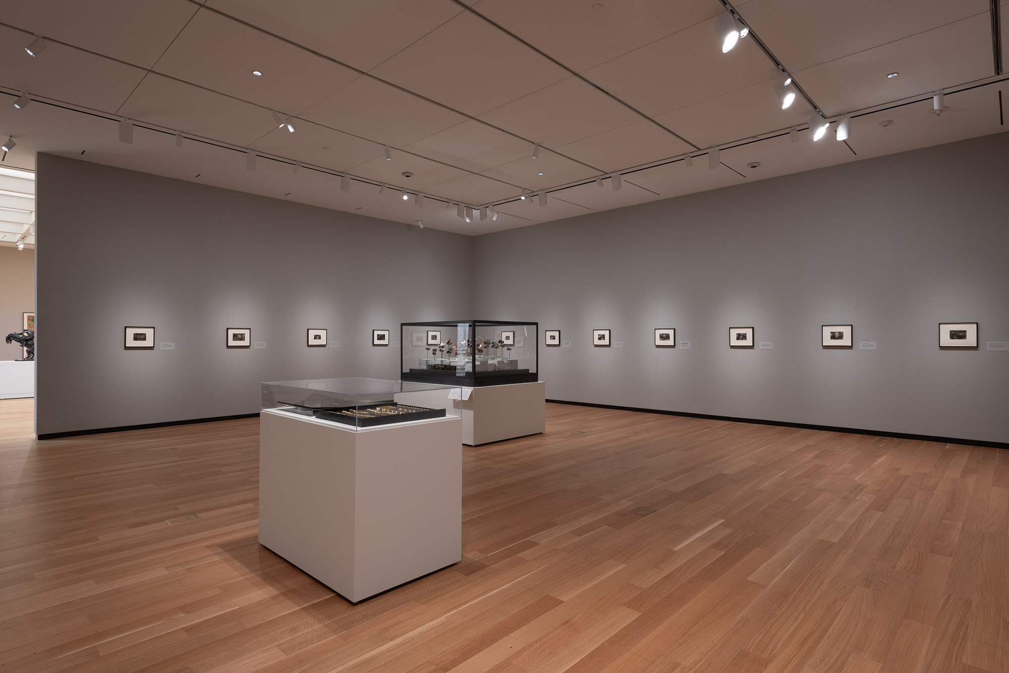 Dario Robleto: The Signal, May 12–October 27, 2024, Amon Carter Museum of American Art, Fort Worth.