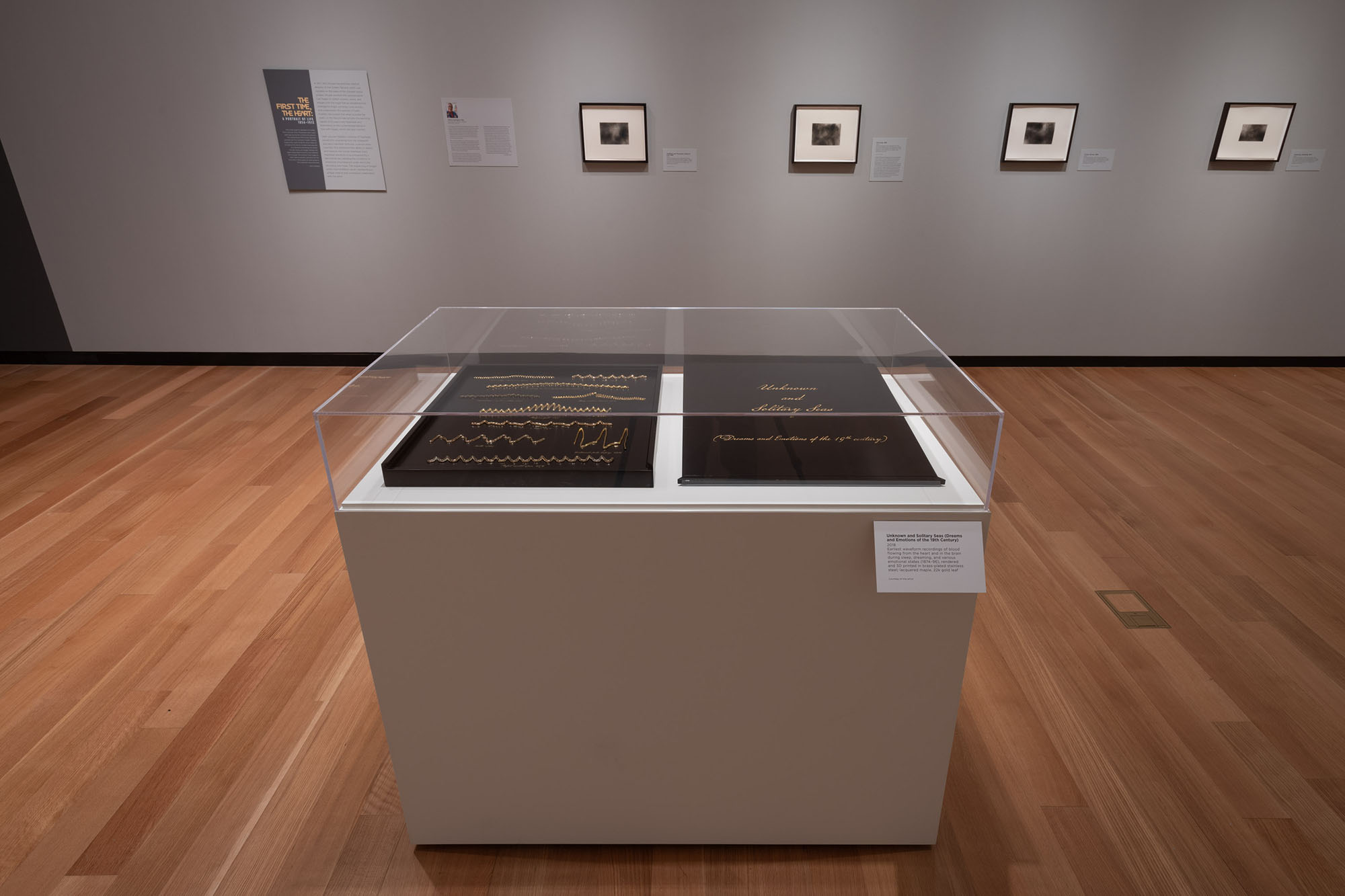 Dario Robleto: The Signal, May 12–October 27, 2024, Amon Carter Museum of American Art, Fort Worth.