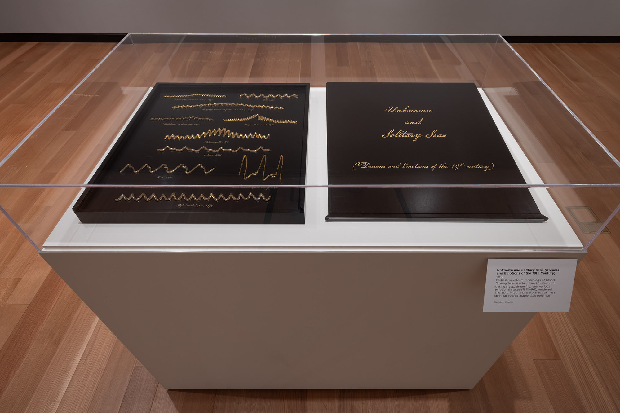 Dario Robleto: The Signal, May 12–October 27, 2024, Amon Carter Museum of American Art, Fort Worth.