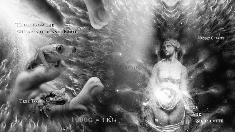 04-Frog-mother-1000px