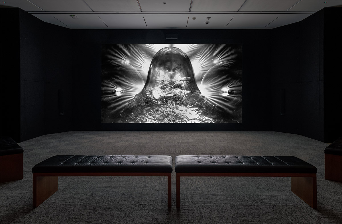 Dario Robleto: The Signal, May 12–October 27, 2024, Amon Carter Museum of American Art, Fort Worth.