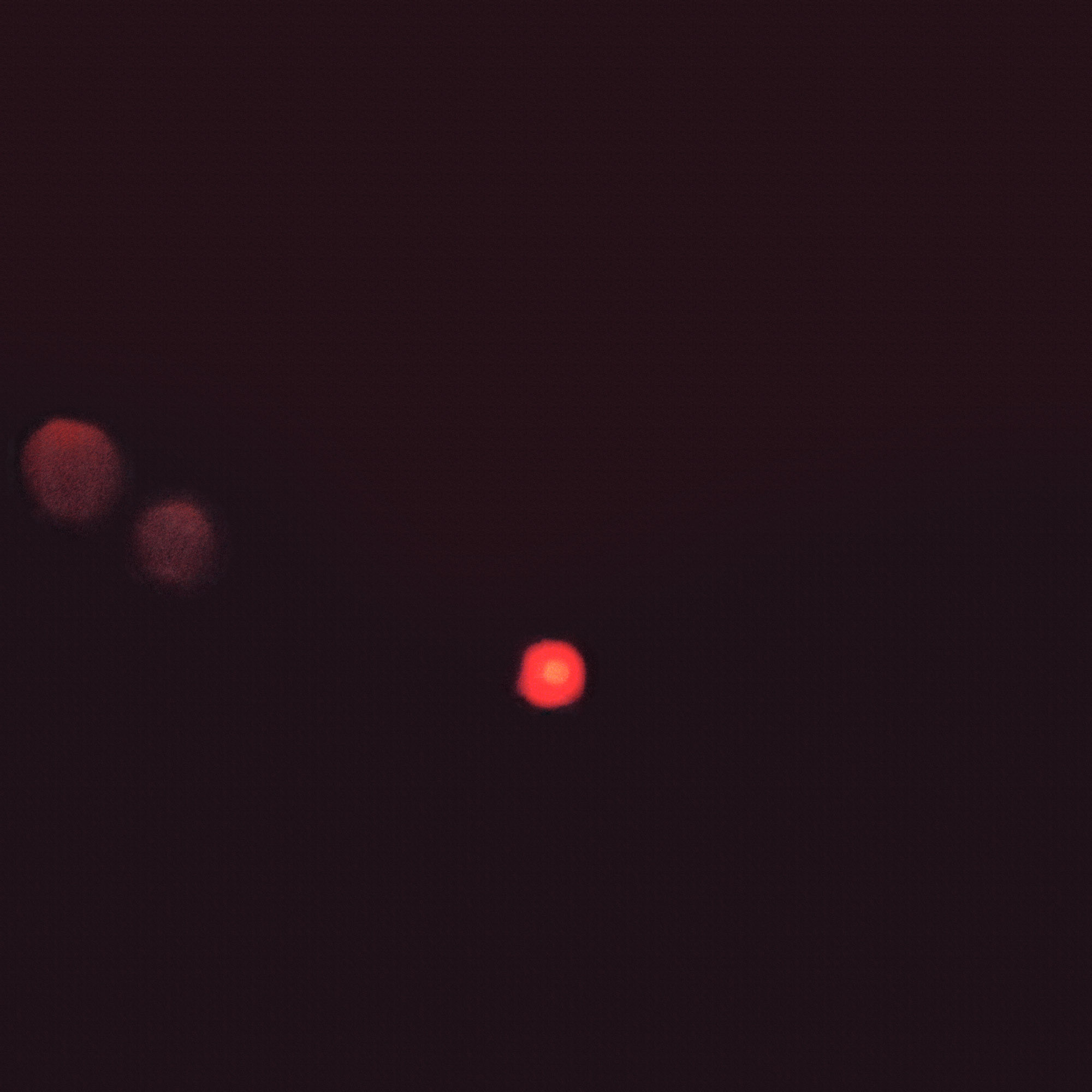 6_Hopkins_2000px