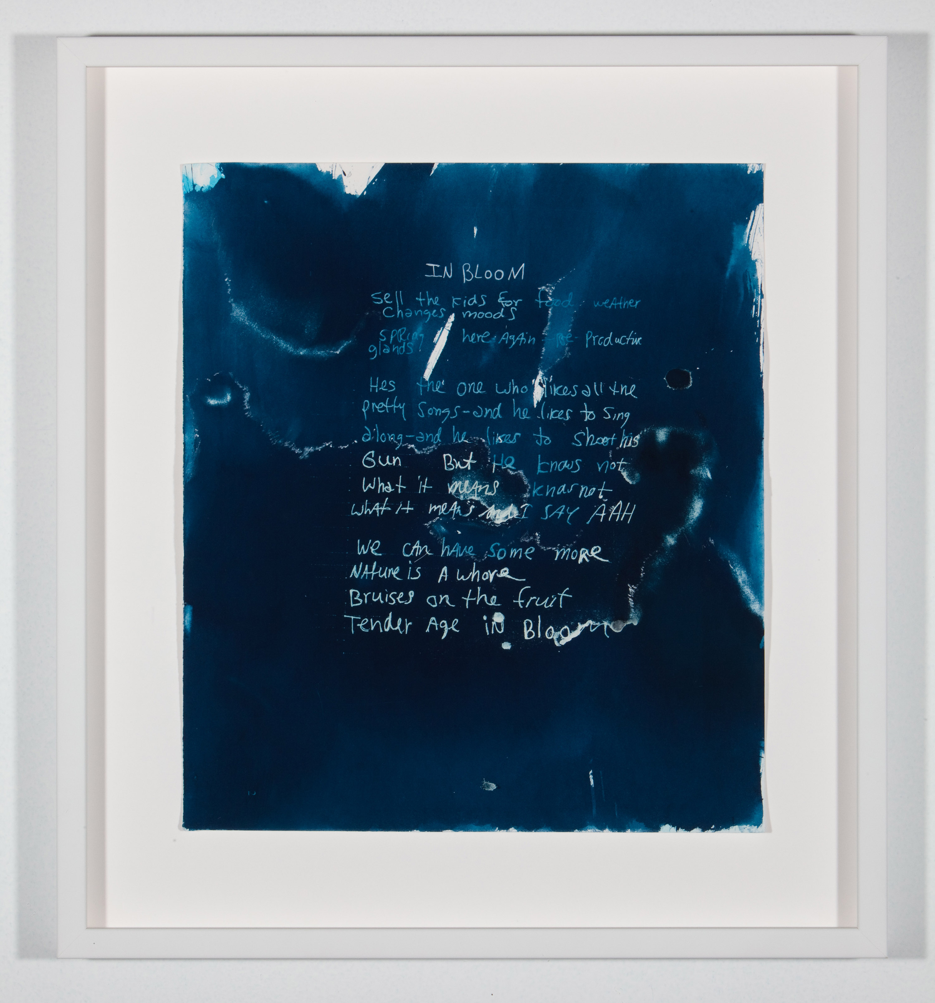2_The-Sun-Makes-Them-Cobain_3000-other