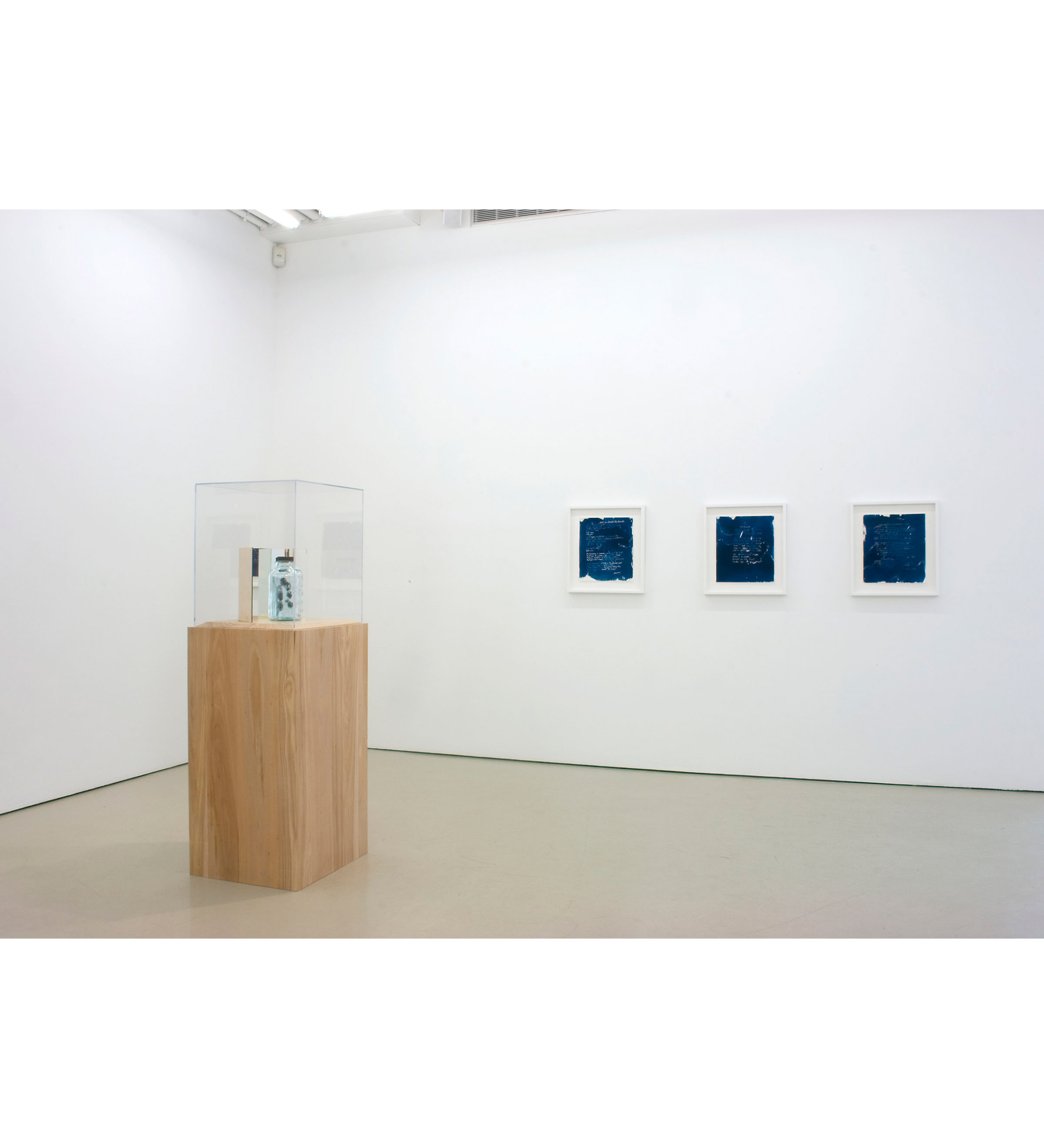 5_Damelio-show-install_3000-other