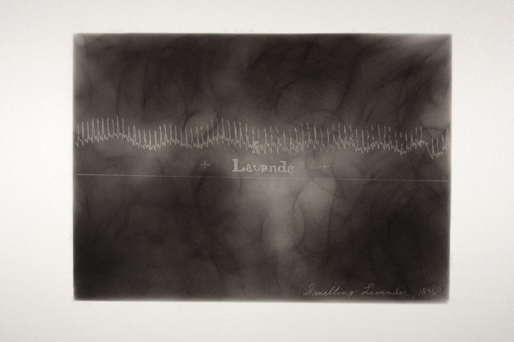 9-Smelling-Lavender-1200px