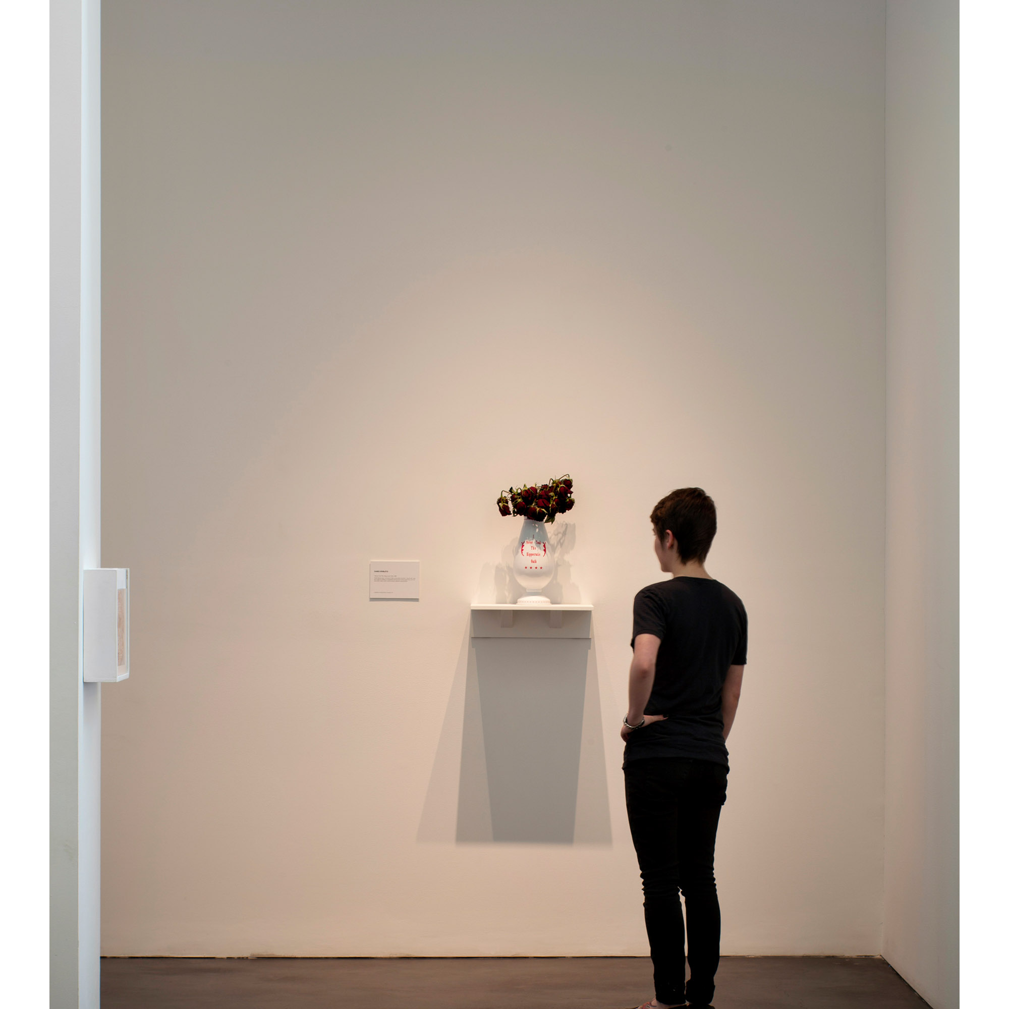 I-Never-Took-the-Hippocratic-Oath_install_2_OL