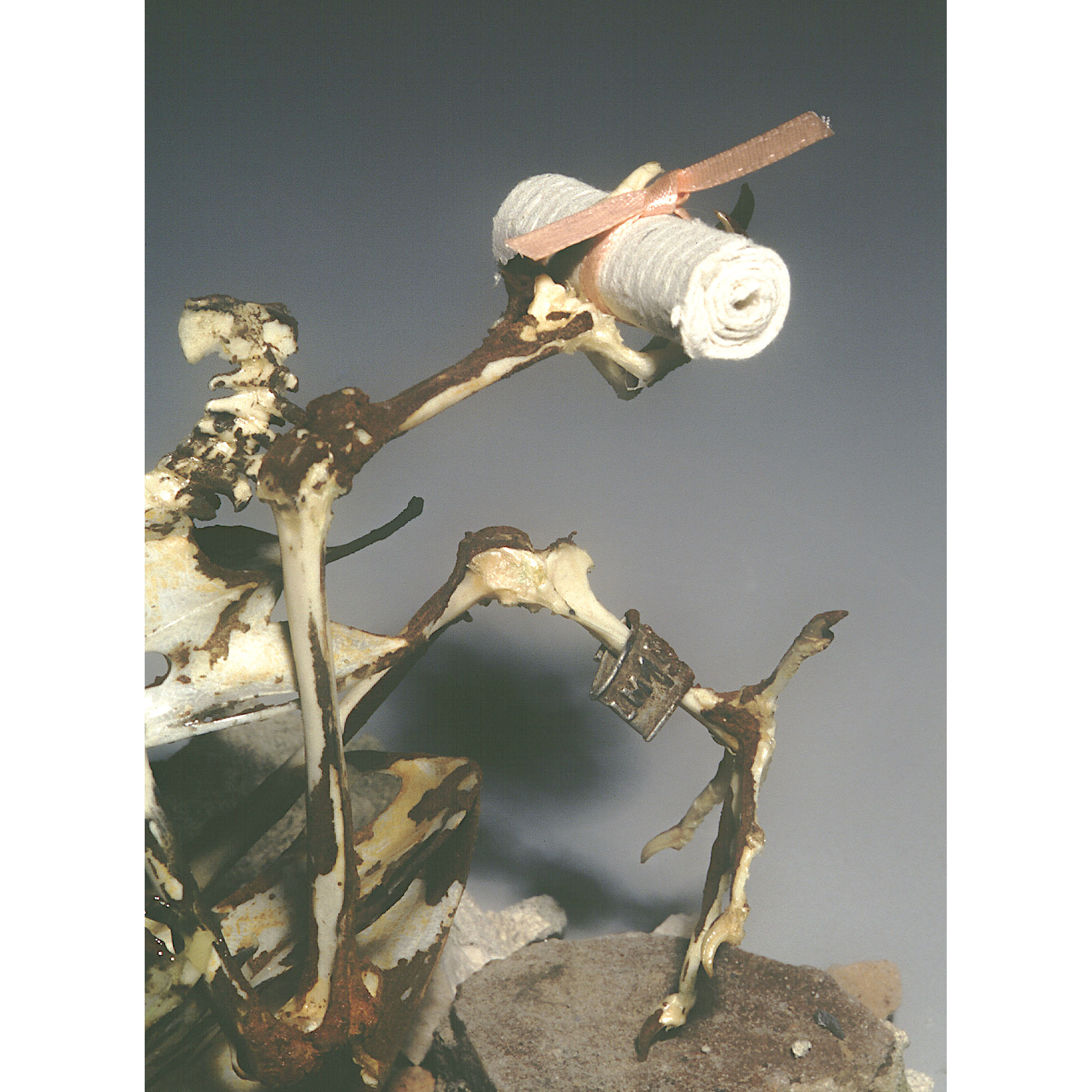 2_War-Pigeon-With-A-Message_detail_higher-res_OL