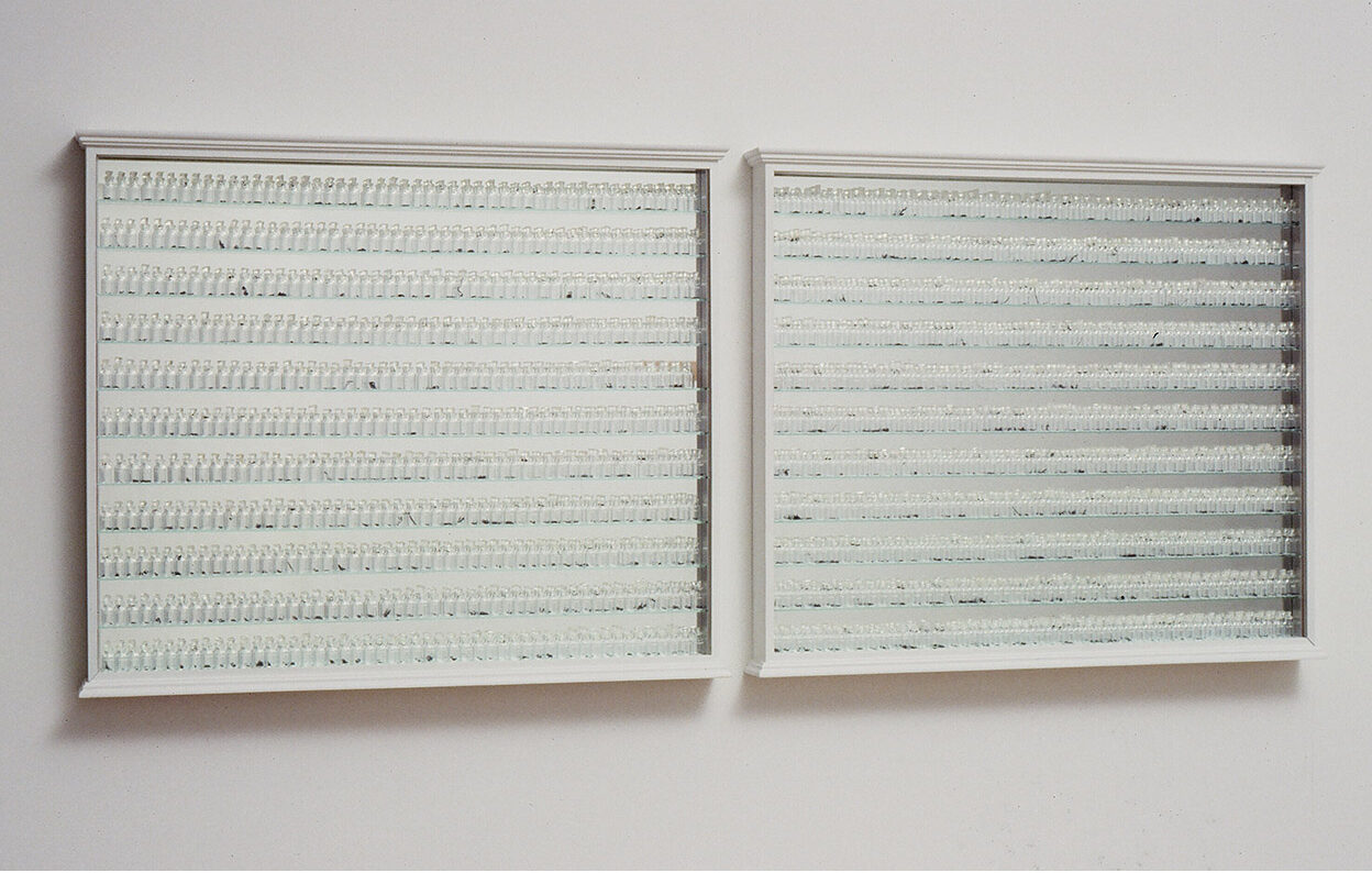 Excerpts-From-The-Diva-Surgery-1