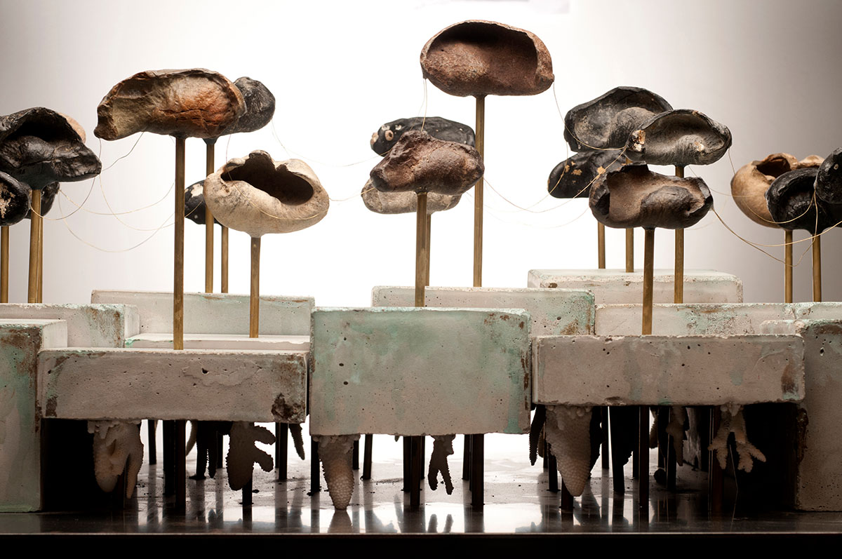 Dario Robleto, Fossilhood Is Not Our Forever, 2013-14. 
Fossilized prehistoric whale ear bones salvaged from the sea (1 to 10 million years), stretched audiotape of three centuries of human heartbeat recordings (1865, 1977, 2014), gold paint, concrete, rust, brass, coral, steel, glass. (Mixed Media)
Courtesy of the artist and Inman Gallery, Houston.