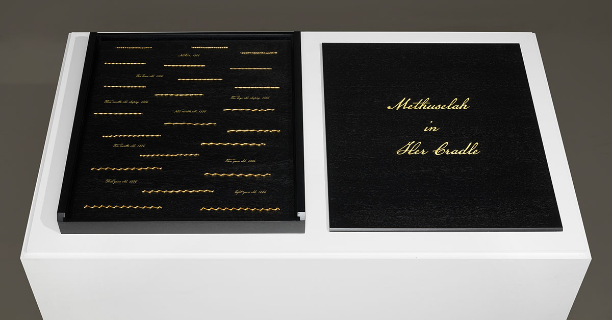 1_METHUSELAH