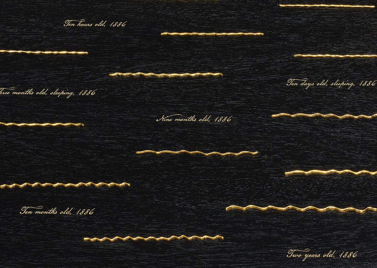3_METHUSELAH_DETAIL