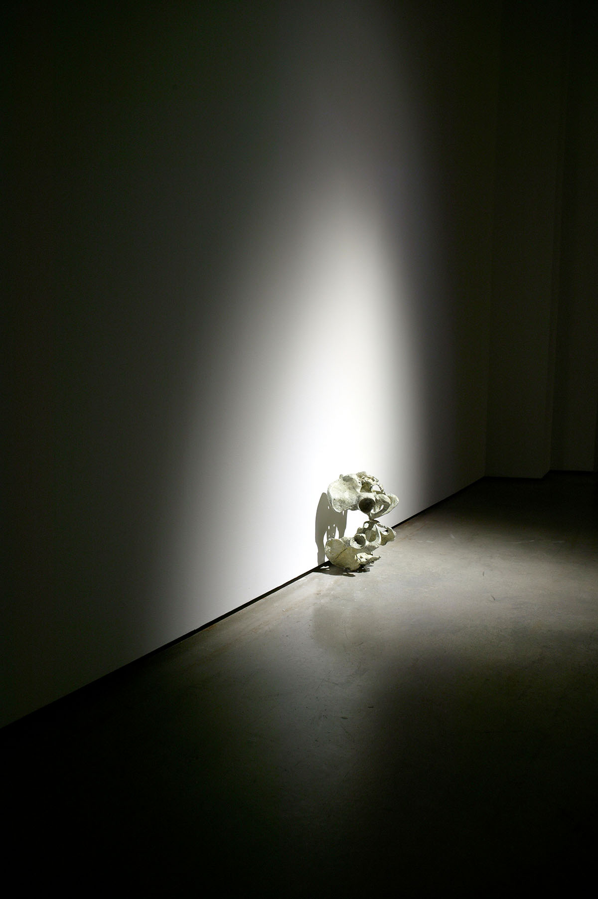 4_Our-Sun-Was