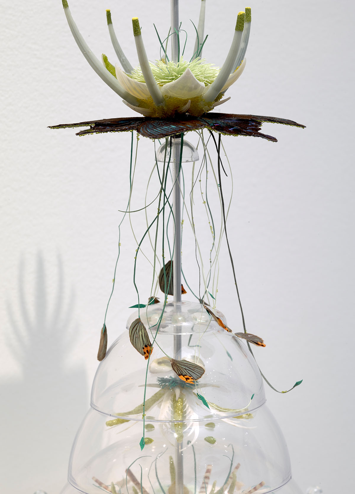 7-Study-for-Moon-Flowers_23x12x12_detail4